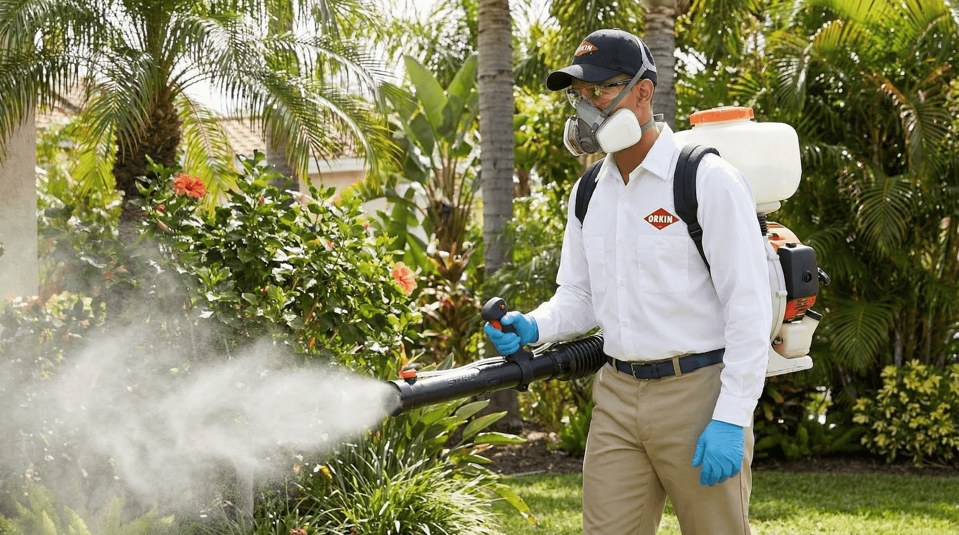 Dedetização de Mosquitos e Moscas no Rio de Janeiro - Orkin